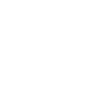Protection Icon