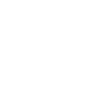 Protection Icon