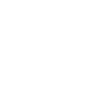Security Icon